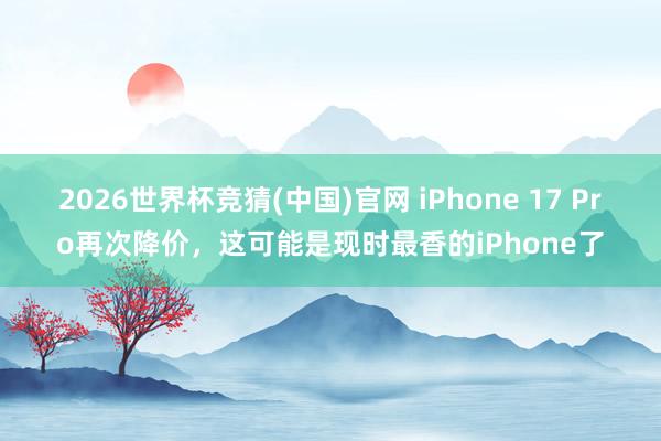 2026世界杯竞猜(中国)官网 iPhone 17 Pro再次降价，这可能是现时最香的iPhone了