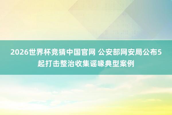 2026世界杯竞猜中国官网 公安部网安局公布5起打击整治收集谣喙典型案例