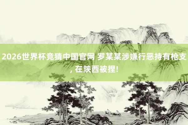 2026世界杯竞猜中国官网 罗某某涉嫌行恶持有枪支, 在陕西被捏!