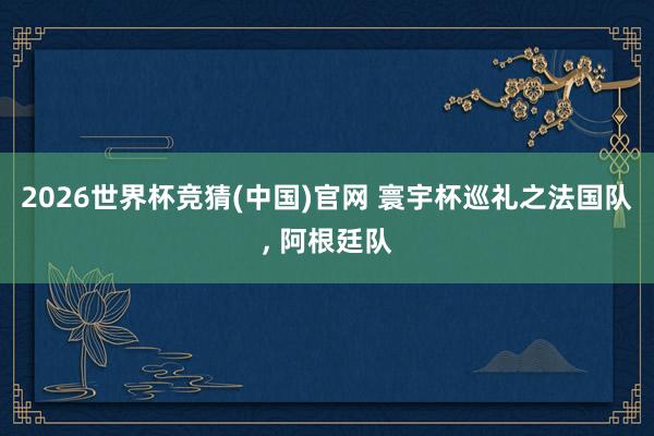 2026世界杯竞猜(中国)官网 寰宇杯巡礼之法国队, 阿根廷队
