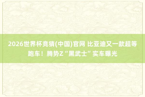 2026世界杯竞猜(中国)官网 比亚迪又一款超等跑车!腾势Z“黑武士”实车曝光
