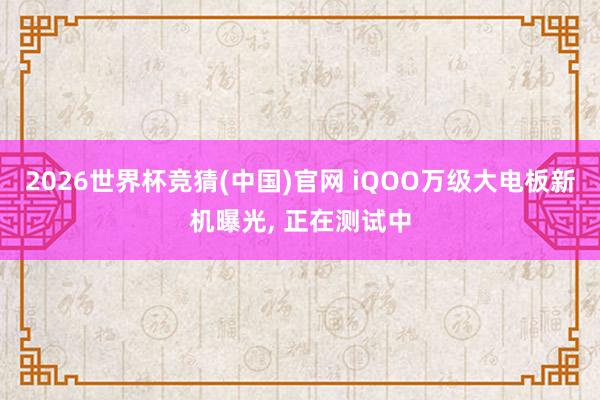 2026世界杯竞猜(中国)官网 iQOO万级大电板新机曝光, 正在测试中