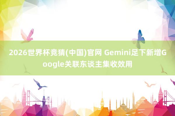 2026世界杯竞猜(中国)官网 Gemini足下新增Google关联东谈主集收效用