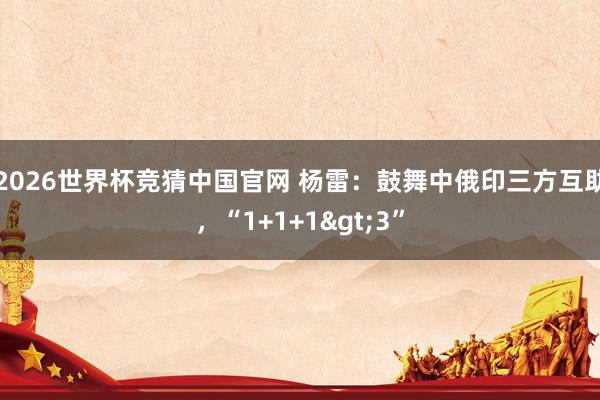 2026世界杯竞猜中国官网 杨雷:鼓舞中俄印三方互助,“1+1+1>3”