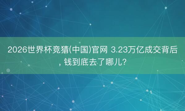 2026世界杯竞猜(中国)官网 3.23万亿成交背后, 钱到底去了哪儿?