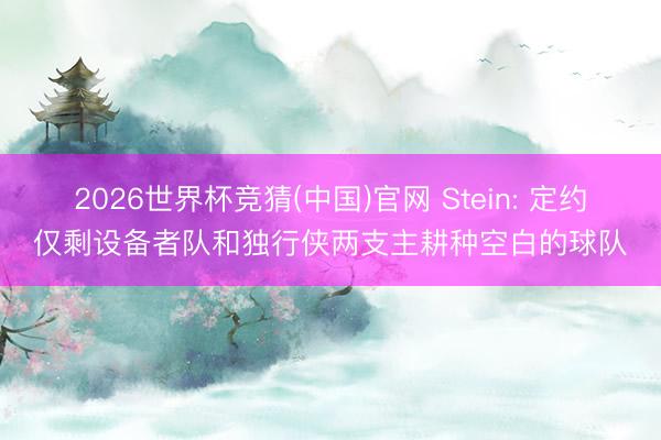 2026世界杯竞猜(中国)官网 Stein: 定约仅剩设备者队和独行侠两支主耕种空白的球队